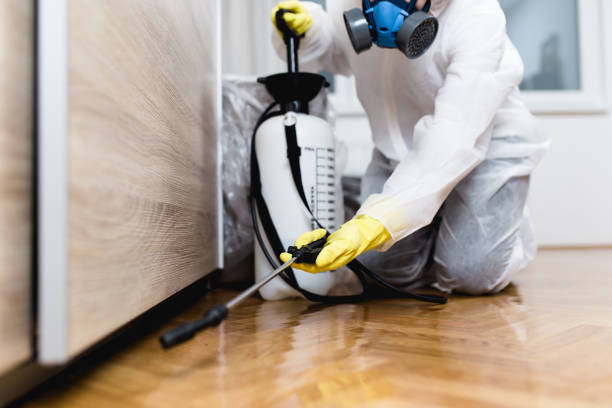 Best Pest Inspection Near Me  in Spencerville, MD