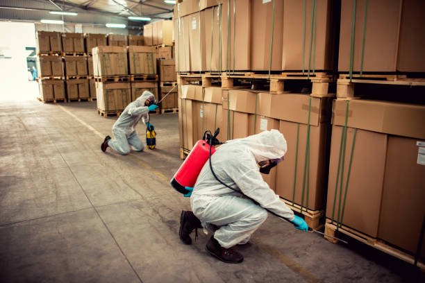 Reliable Spencerville, MD Pest Control Solutions