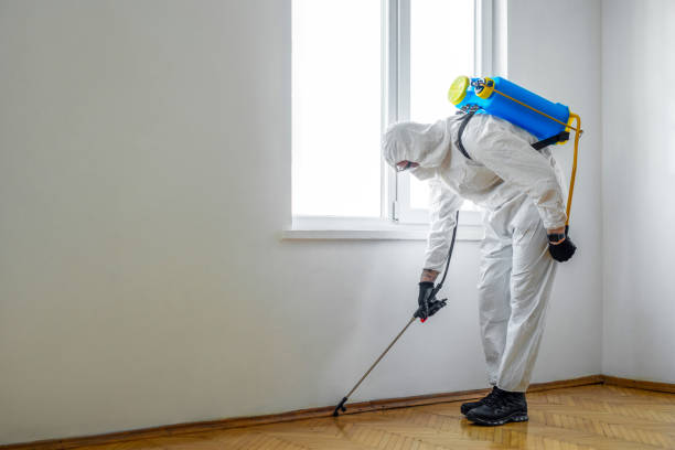 Best Pest Removal Services  in Spencerville, MD
