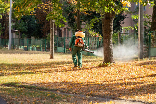 Best Bed Bug Extermination  in Spencerville, MD