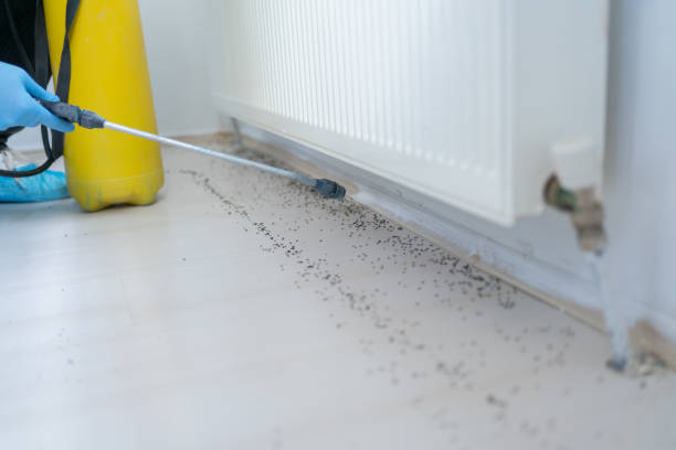 Best Pest Control for Businesses  in Spencerville, MD